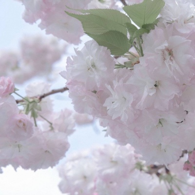 延平FurryQQ群介绍